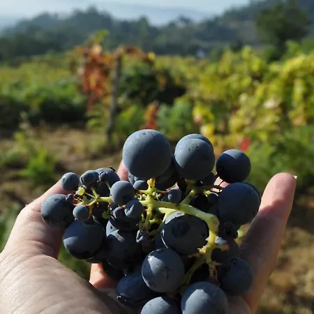 Roselane Farm